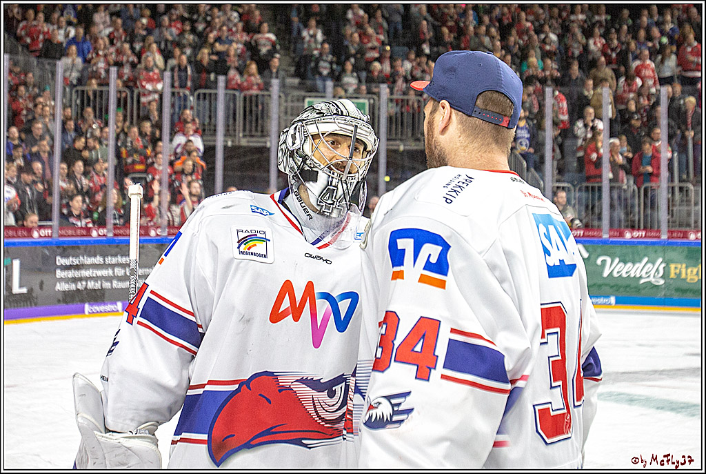 DEL; Koelner Haie - Adler Mannheim, 09.04.2019
